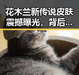 花木兰新传说皮肤震撼曝光，背后动向引发关注
